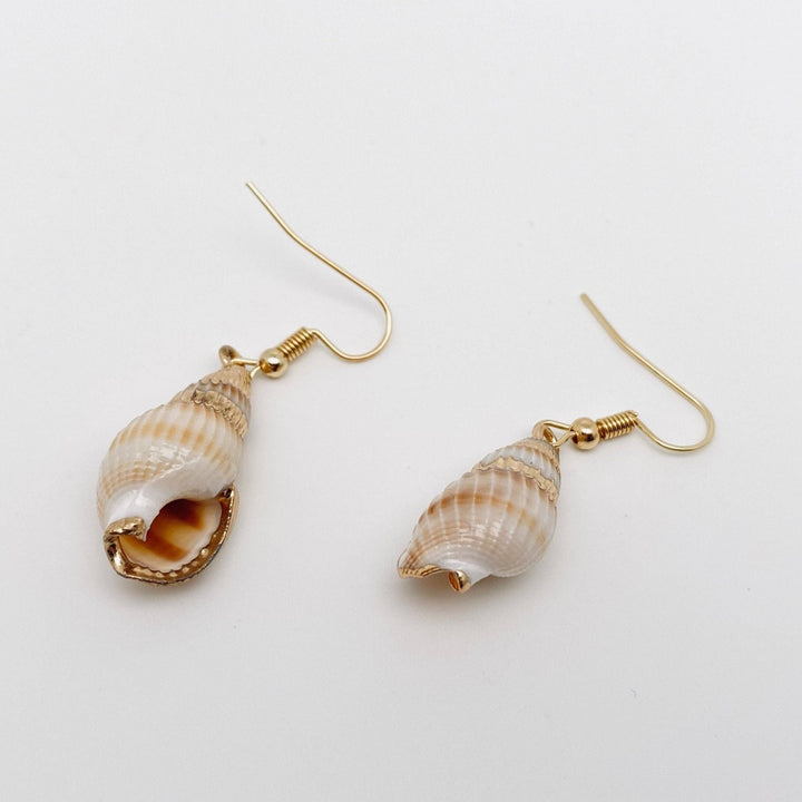 JewelryConch Shell Earrings